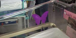 farfalla viola culla