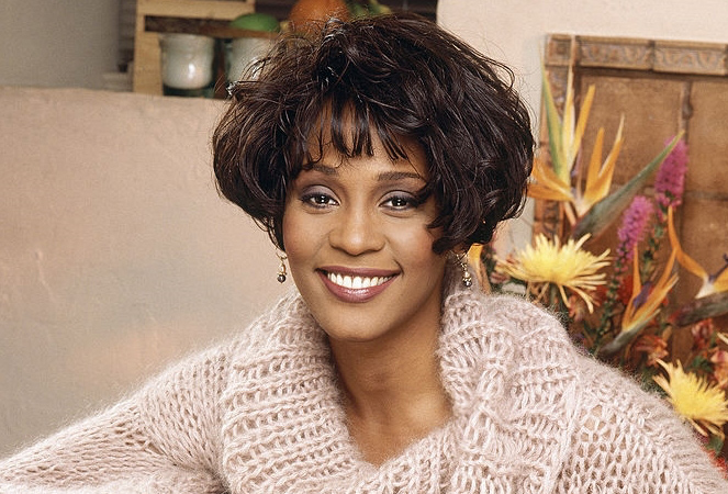 Whitney Houston abuso